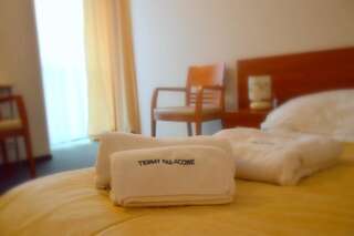 Курортные отели Hotel Termy Pałacowe Наленчув Стандартный двухместный номер с 1 кроватью или 2 отдельными кроватями-2