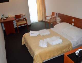Курортные отели Hotel Termy Pałacowe Наленчув Стандартный двухместный номер с 1 кроватью или 2 отдельными кроватями-3