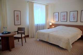 Курортные отели Hotel Termy Pałacowe Наленчув Двухместный номер Делюкс с 1 кроватью или 2 отдельными кроватями-3